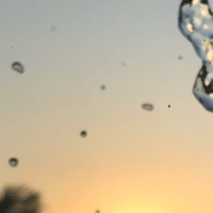 Meet your Posher, Brady